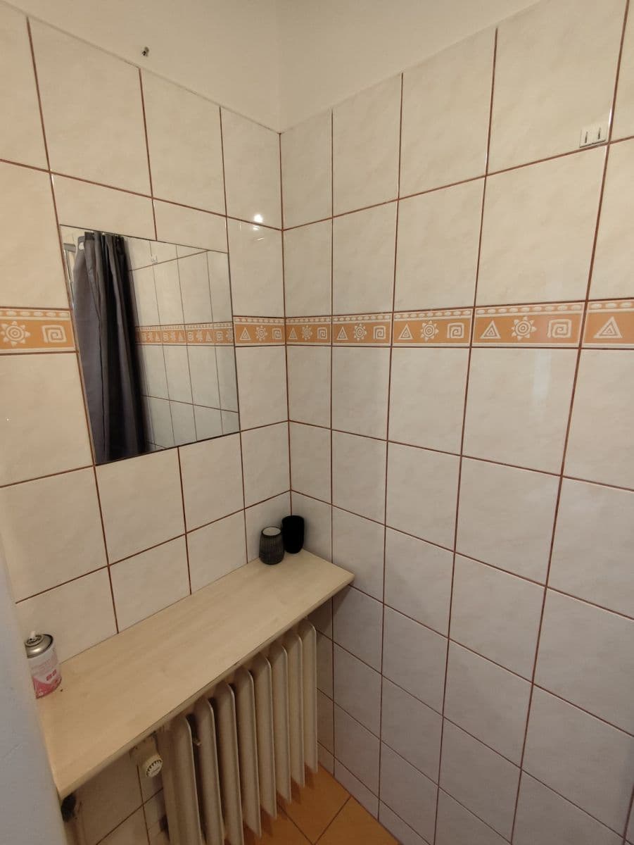 Small studio flat to rent, 29 m², Rychtaříkova, Plzeň, Plzeňský Region Small studio flat to rent, 29 m², Rychtaříkova, Plzeň, Plzeňský Region