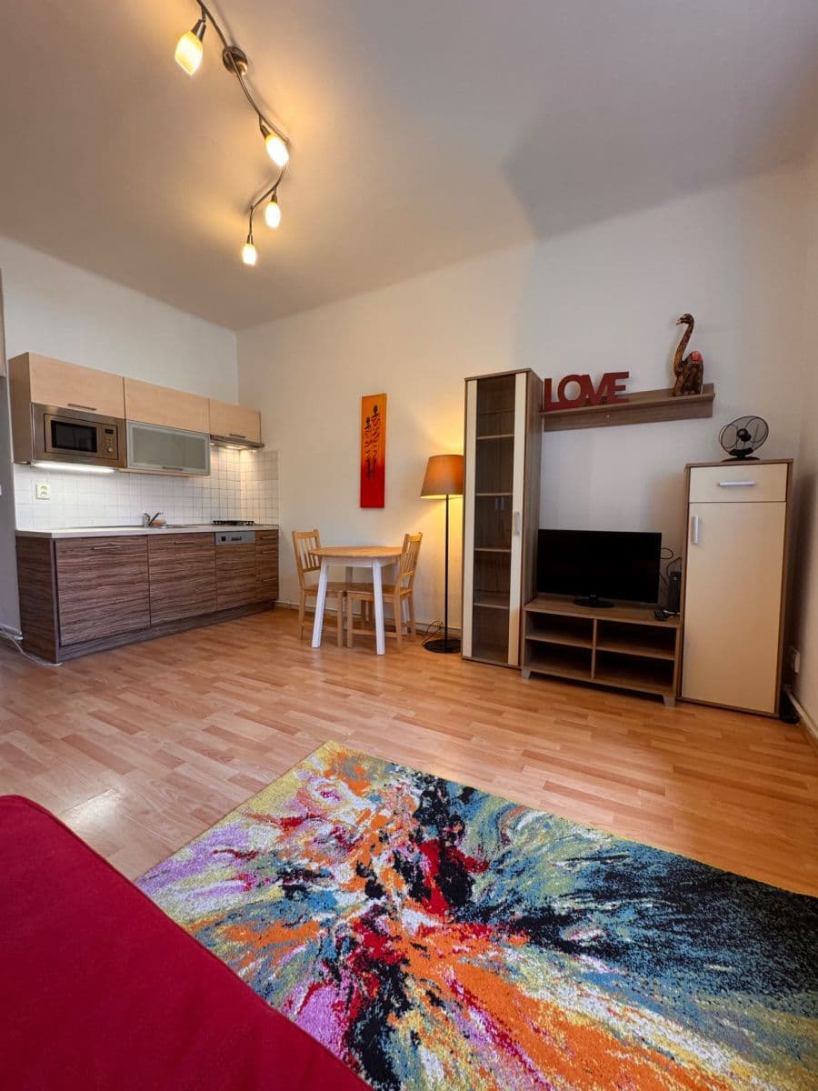 Studio flat to rent, 30 m², V Domově, Prague, Prague Studio flat to rent, 30 m², V Domově, Prague, Prague