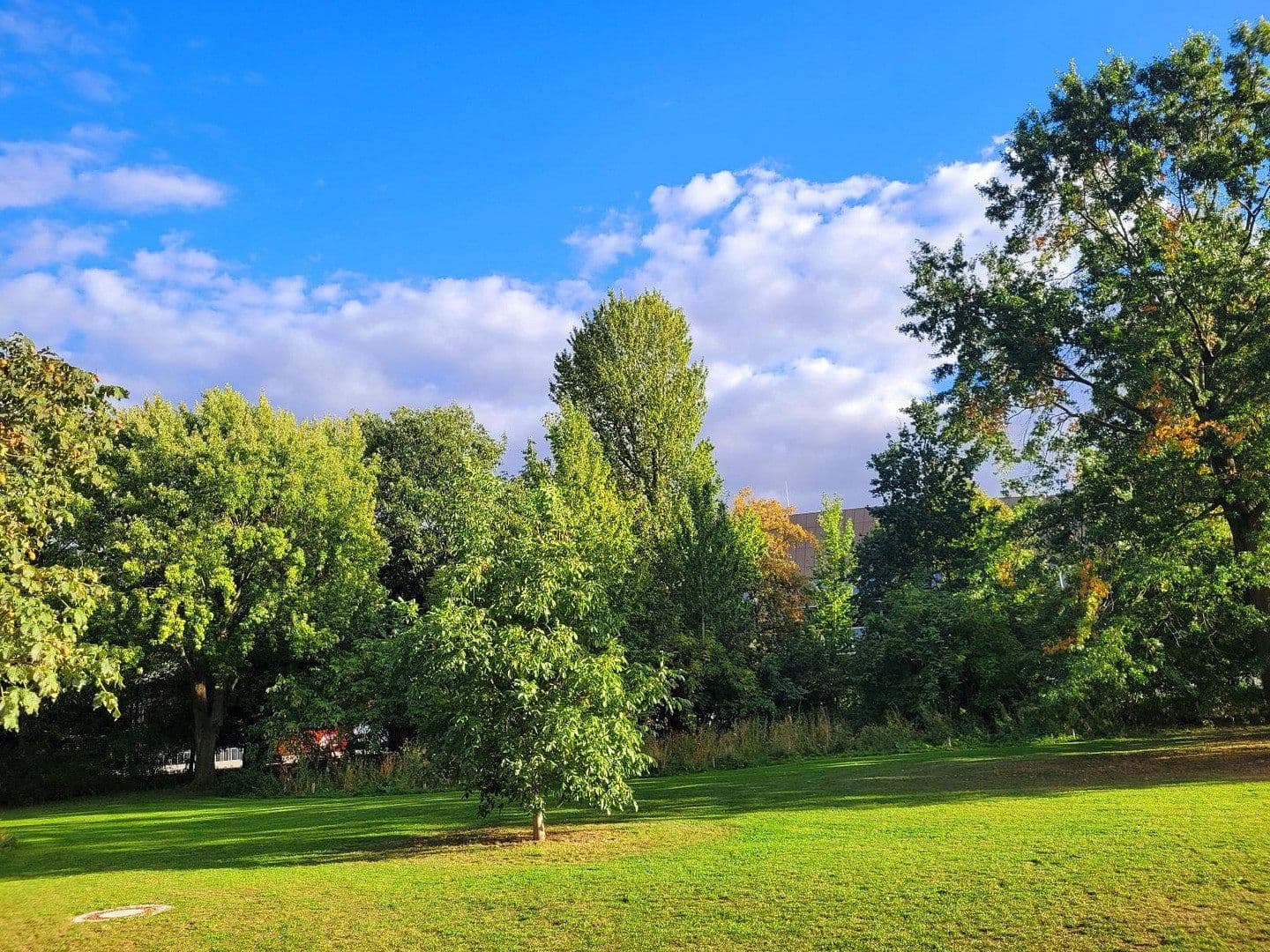 3 bedroom flat for sale, 57 m², Berlin, Berlin 3 bedroom flat for sale, 57 m², Berlin, Berlin