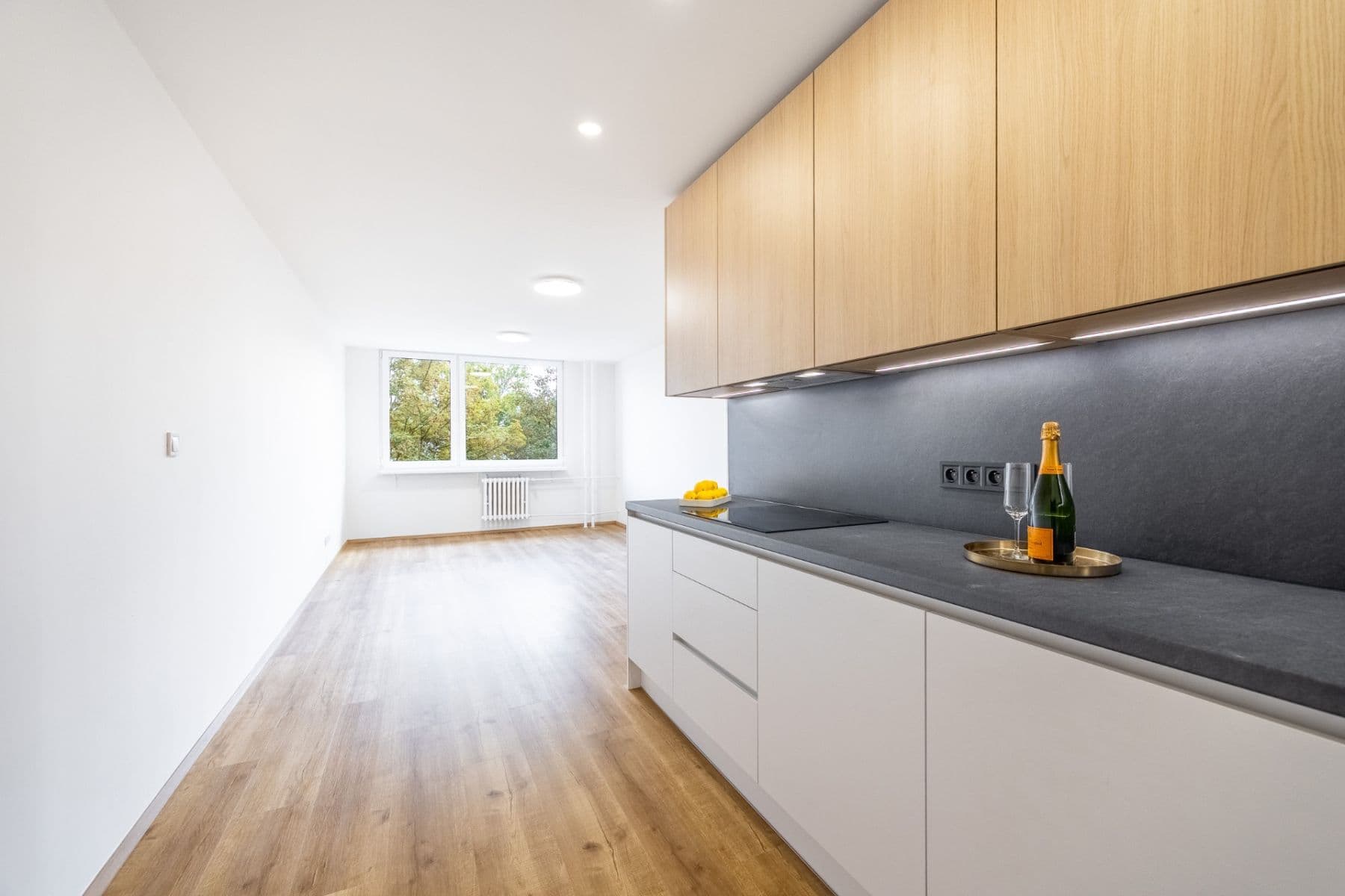 2 bedroom with open-plan kitchen flat for sale, 67 m², Bruslařská, Prague, Prague 2 bedroom with open-plan kitchen flat for sale, 67 m², Bruslařská, Prague, Prague