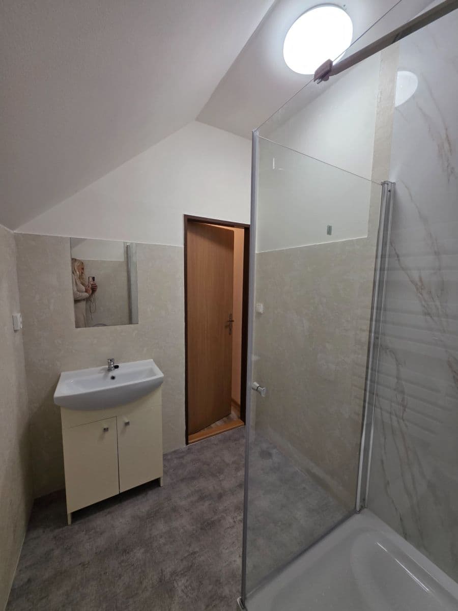 1 bedroom with open-plan kitchen flat to rent, 35 m², Mladé Buky, Královéhradecký Region 1 bedroom with open-plan kitchen flat to rent, 35 m², Mladé Buky, Královéhradecký Region