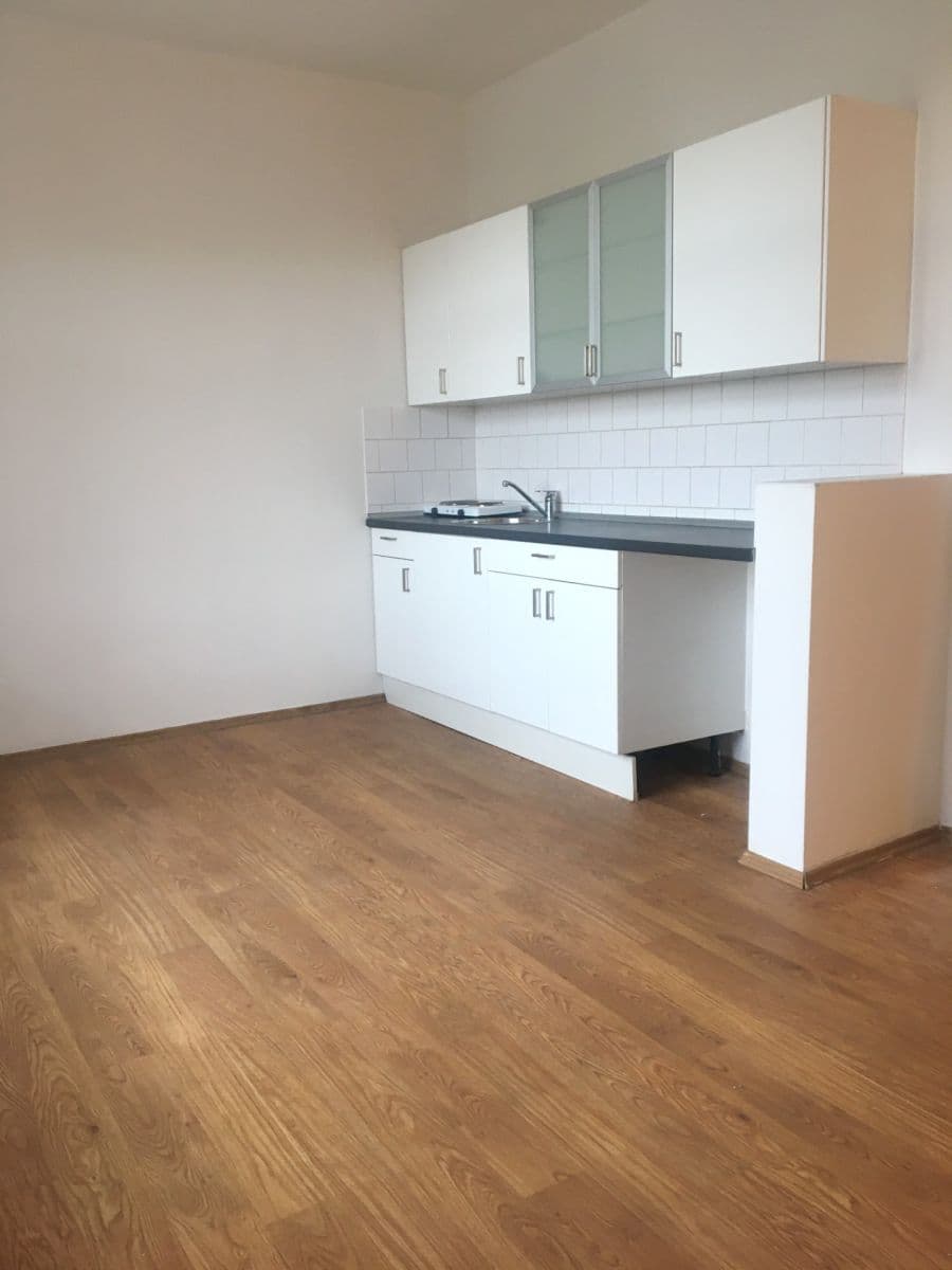 Studio flat to rent, 24 m², Pod Sychrovem Ⅰ, Prague, Prague Studio flat to rent, 24 m², Pod Sychrovem Ⅰ, Prague, Prague
