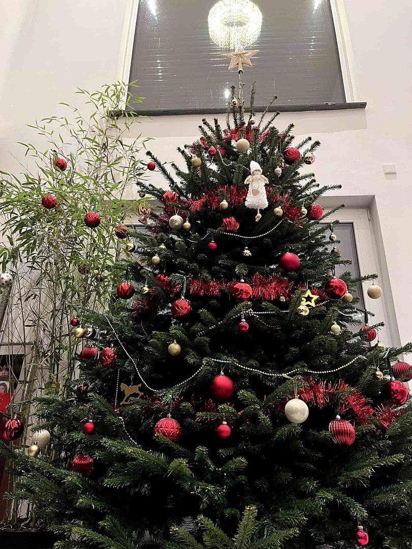 house for sale, 378 m², Butzbach, Hesse house for sale, 378 m², Butzbach, Hesse