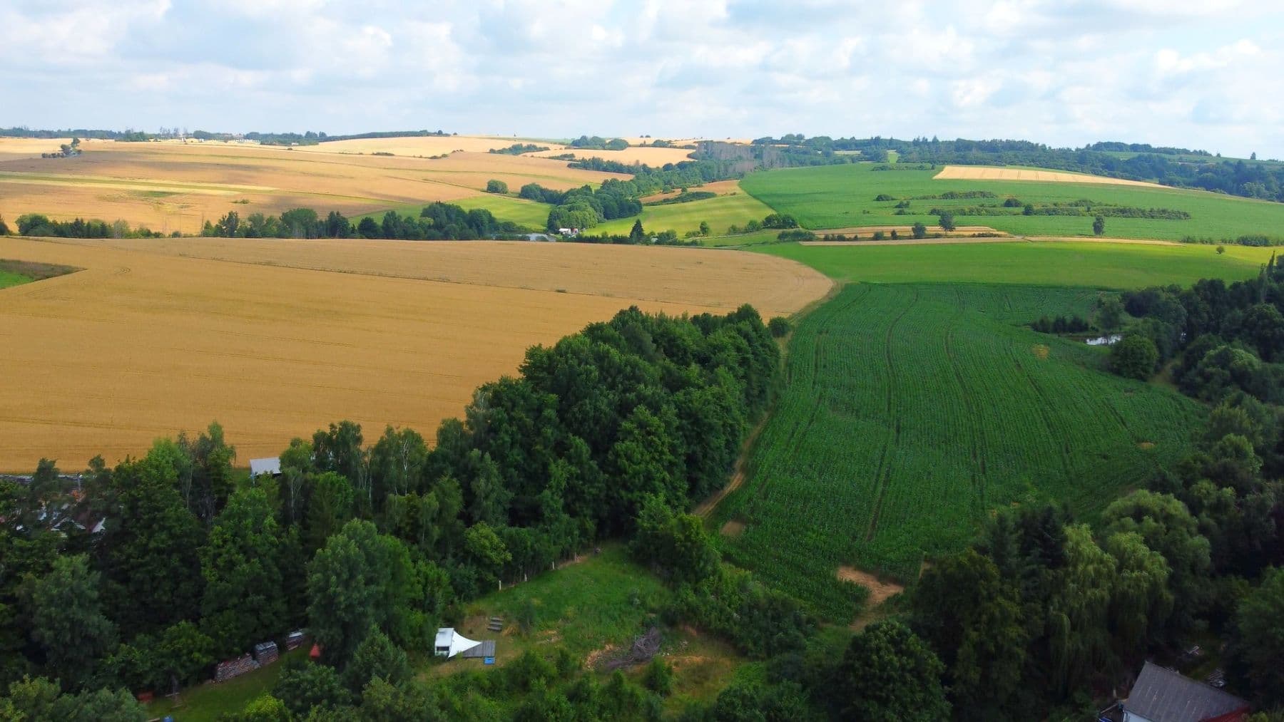plot for sale, 3,226 m², Kamenice, Vysočina Region plot for sale, 3,226 m², Kamenice, Vysočina Region