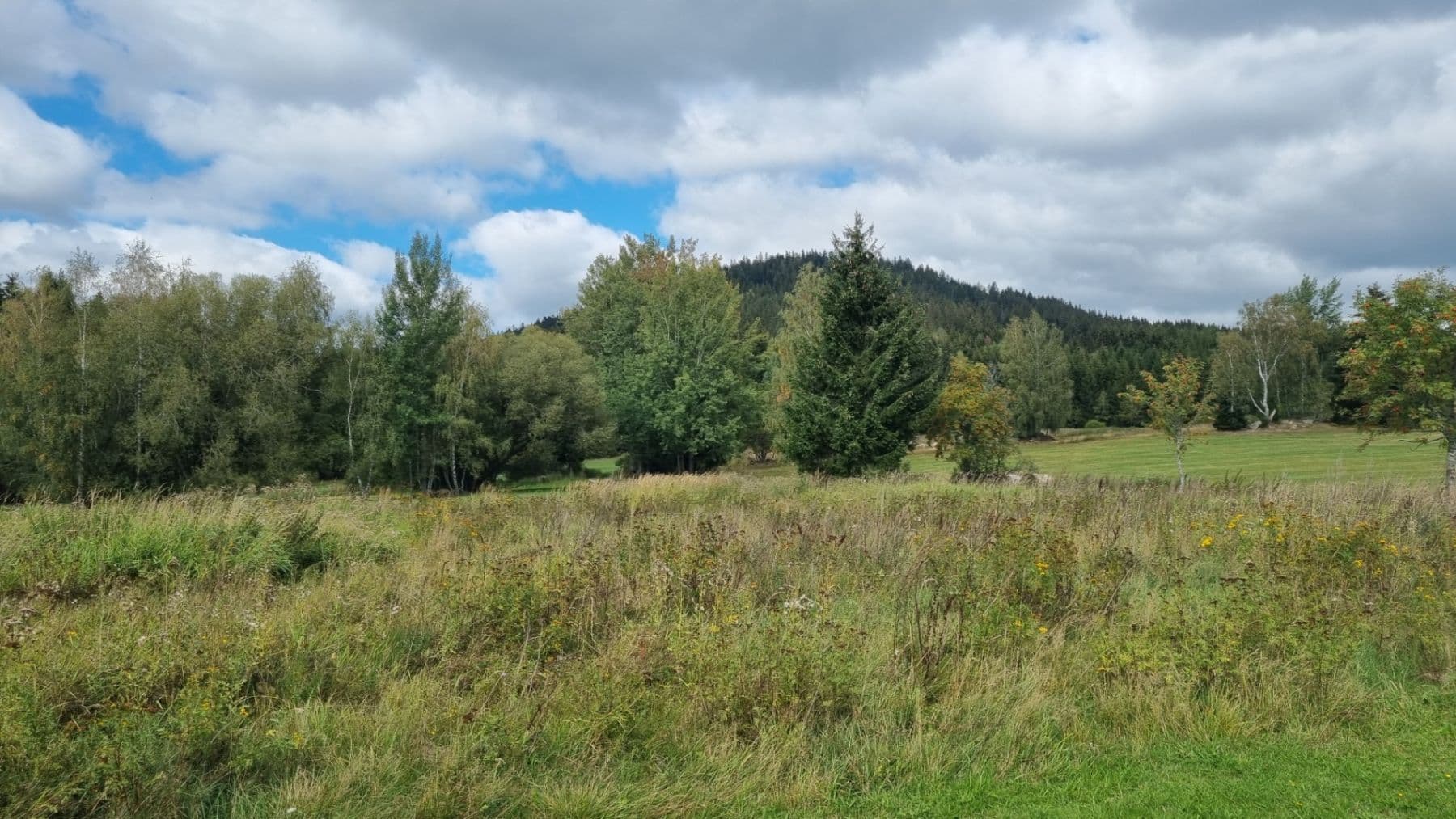plot for sale, 3,812 m², Srní, Plzeňský Region plot for sale, 3,812 m², Srní, Plzeňský Region