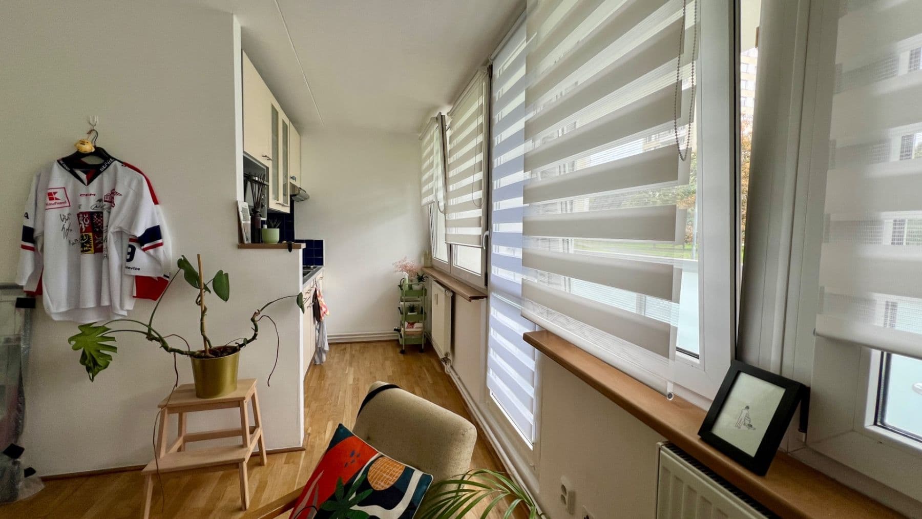 Studio flat to rent, 30 m², Nekvasilova, Prague, Prague Studio flat to rent, 30 m², Nekvasilova, Prague, Prague