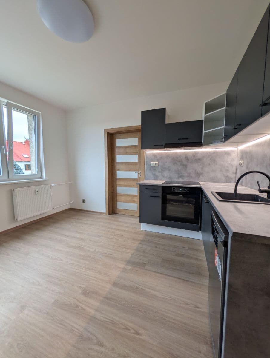 1 bedroom with open-plan kitchen flat to rent, 36 m², Kazimírova, Prague, Prague 1 bedroom with open-plan kitchen flat to rent, 36 m², Kazimírova, Prague, Prague