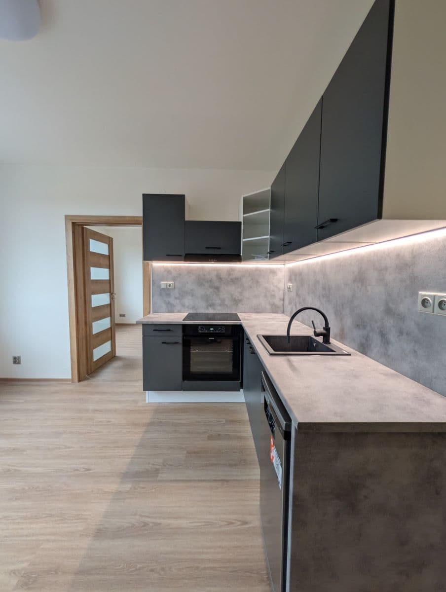 1 bedroom with open-plan kitchen flat to rent, 36 m², Kazimírova, Prague, Prague 1 bedroom with open-plan kitchen flat to rent, 36 m², Kazimírova, Prague, Prague