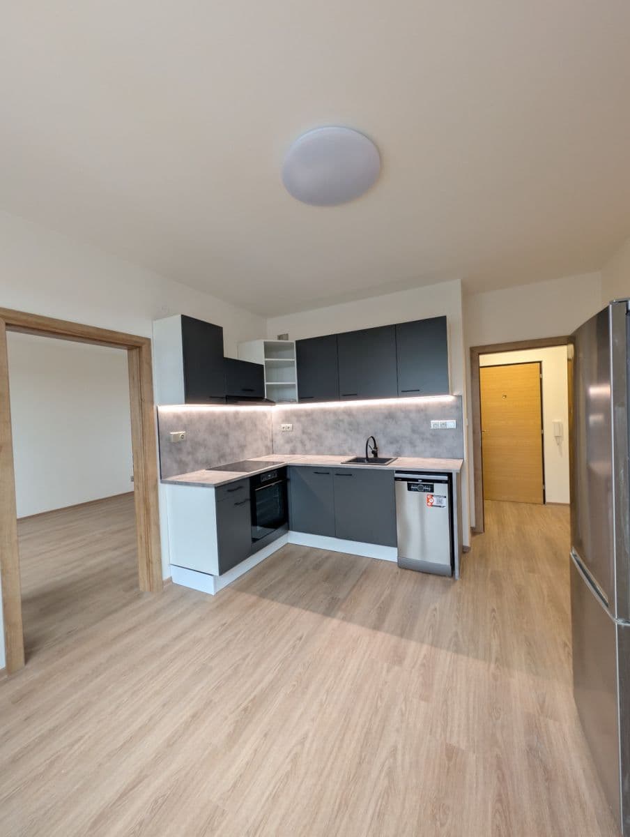 1 bedroom with open-plan kitchen flat to rent, 36 m², Kazimírova, Prague, Prague 1 bedroom with open-plan kitchen flat to rent, 36 m², Kazimírova, Prague, Prague