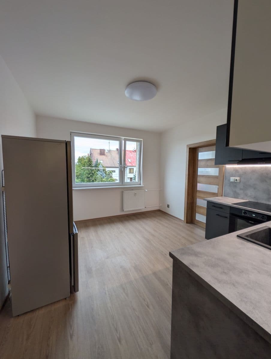 1 bedroom with open-plan kitchen flat to rent, 36 m², Kazimírova, Prague, Prague 1 bedroom with open-plan kitchen flat to rent, 36 m², Kazimírova, Prague, Prague