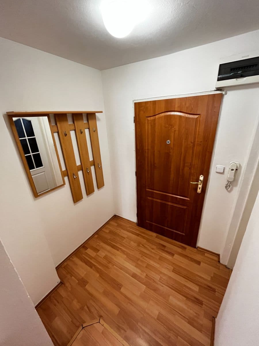 1 bedroom with open-plan kitchen flat to rent, 52 m², Kováků, Prague, Prague 1 bedroom with open-plan kitchen flat to rent, 52 m², Kováků, Prague, Prague