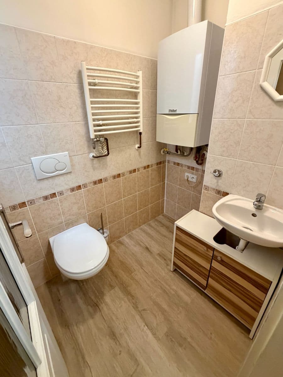 1 bedroom with open-plan kitchen flat to rent, 52 m², Kováků, Prague, Prague 1 bedroom with open-plan kitchen flat to rent, 52 m², Kováků, Prague, Prague