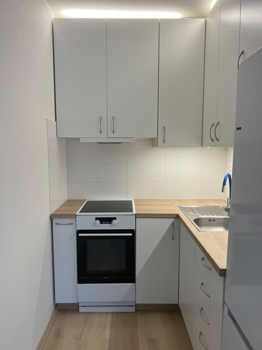 1 bedroom with open-plan kitchen flat to rent, 47 m², Elplova, Brno, Jihomoravský Region 1 bedroom with open-plan kitchen flat to rent, 47 m², Elplova, Brno, Jihomoravský Region