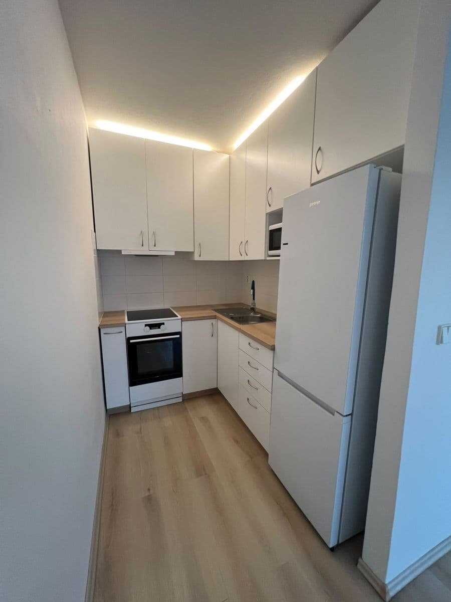 1 bedroom with open-plan kitchen flat to rent, 47 m², Elplova, Brno, Jihomoravský Region 1 bedroom with open-plan kitchen flat to rent, 47 m², Elplova, Brno, Jihomoravský Region