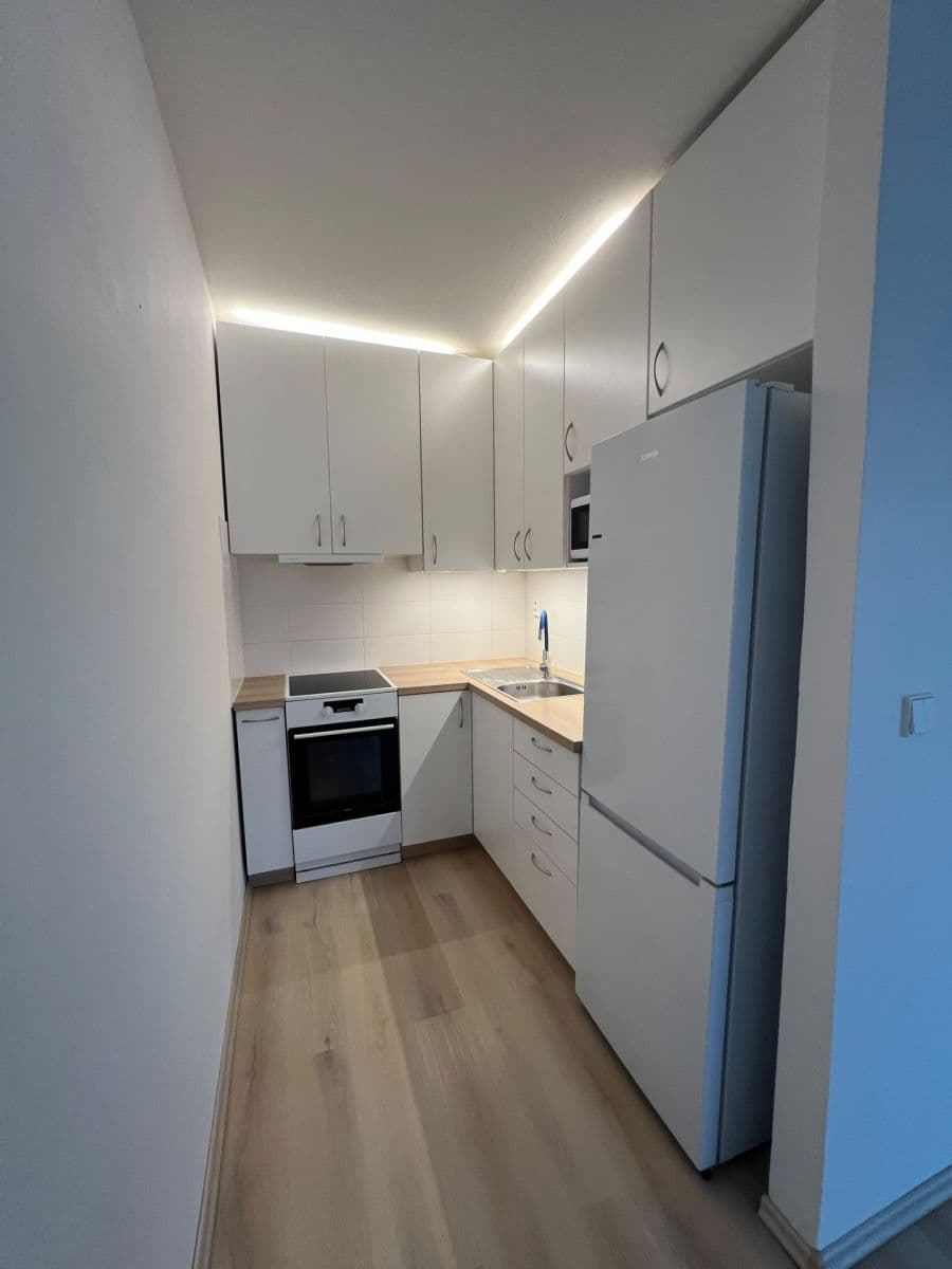 1 bedroom with open-plan kitchen flat to rent, 47 m², Elplova, Brno, Jihomoravský Region 1 bedroom with open-plan kitchen flat to rent, 47 m², Elplova, Brno, Jihomoravský Region