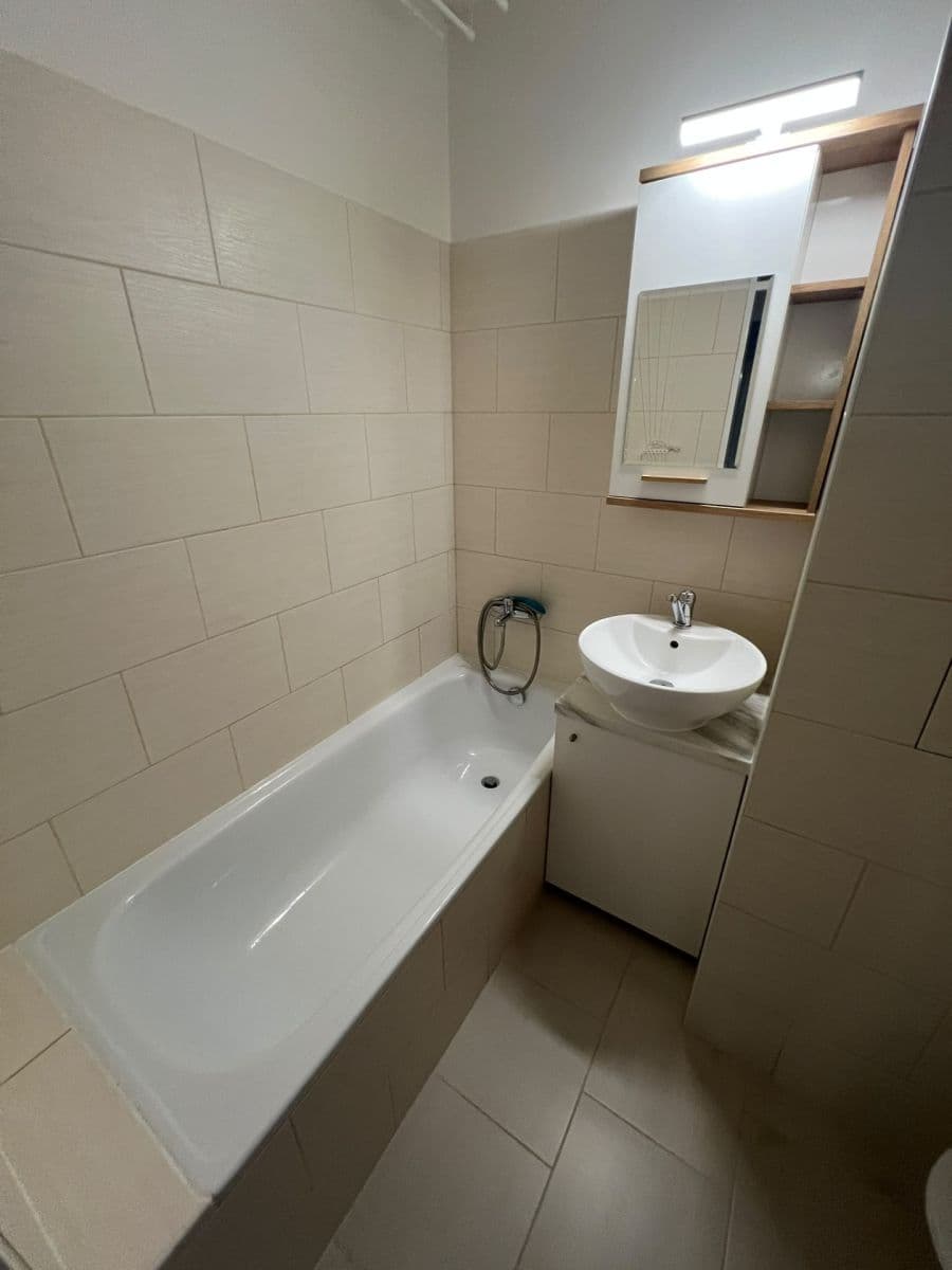 1 bedroom with open-plan kitchen flat to rent, 47 m², Elplova, Brno, Jihomoravský Region 1 bedroom with open-plan kitchen flat to rent, 47 m², Elplova, Brno, Jihomoravský Region
