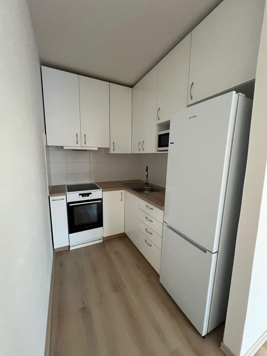 1 bedroom with open-plan kitchen flat to rent, 47 m², Elplova, Brno, Jihomoravský Region 1 bedroom with open-plan kitchen flat to rent, 47 m², Elplova, Brno, Jihomoravský Region