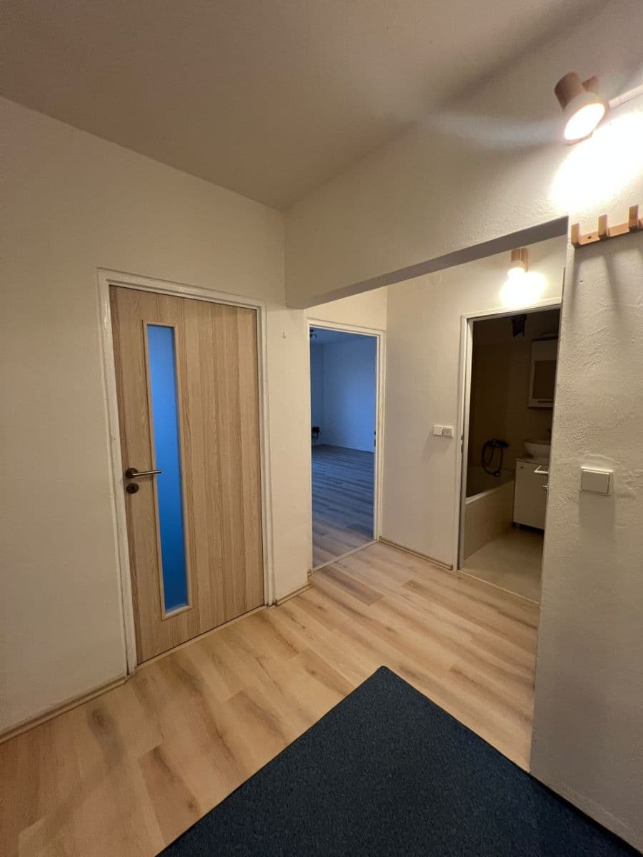 1 bedroom with open-plan kitchen flat to rent, 47 m², Elplova, Brno, Jihomoravský Region 1 bedroom with open-plan kitchen flat to rent, 47 m², Elplova, Brno, Jihomoravský Region