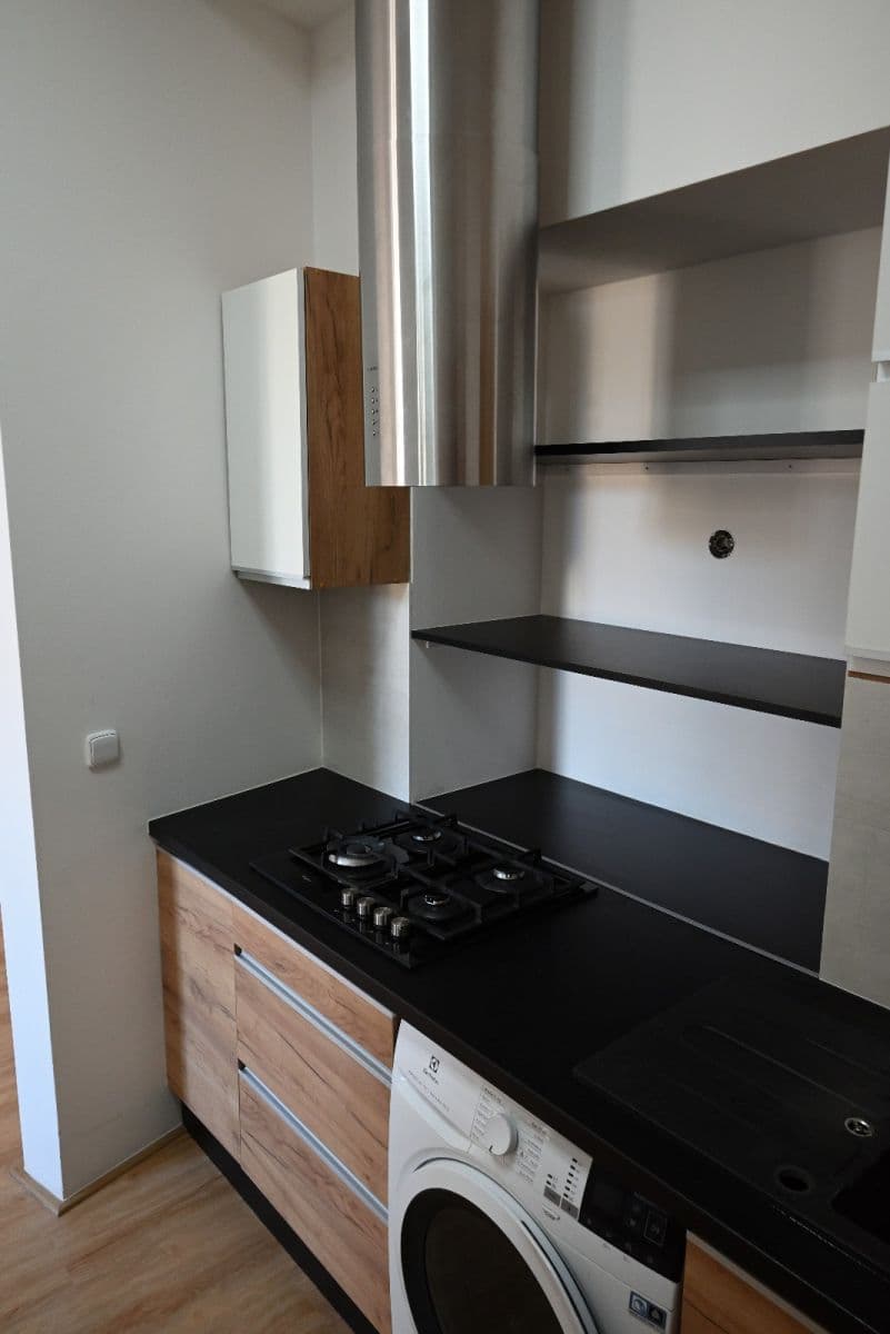 1 bedroom with open-plan kitchen flat to rent, 58 m², Sokolovská, Prague, Prague 1 bedroom with open-plan kitchen flat to rent, 58 m², Sokolovská, Prague, Prague