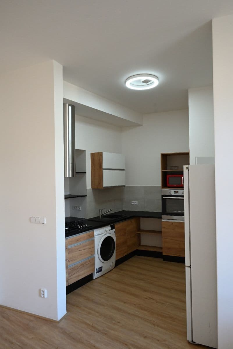 1 bedroom with open-plan kitchen flat to rent, 58 m², Sokolovská, Prague, Prague 1 bedroom with open-plan kitchen flat to rent, 58 m², Sokolovská, Prague, Prague