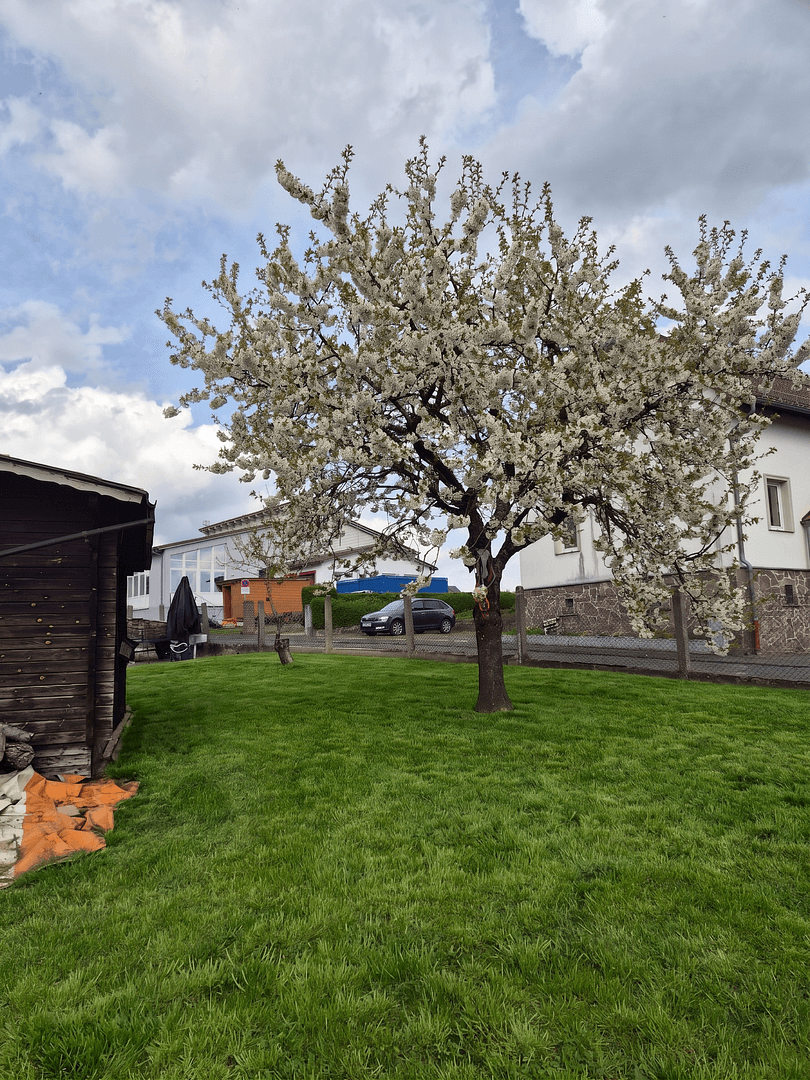 house for sale, 136 m², Fronhausen, Hesse house for sale, 136 m², Fronhausen, Hesse