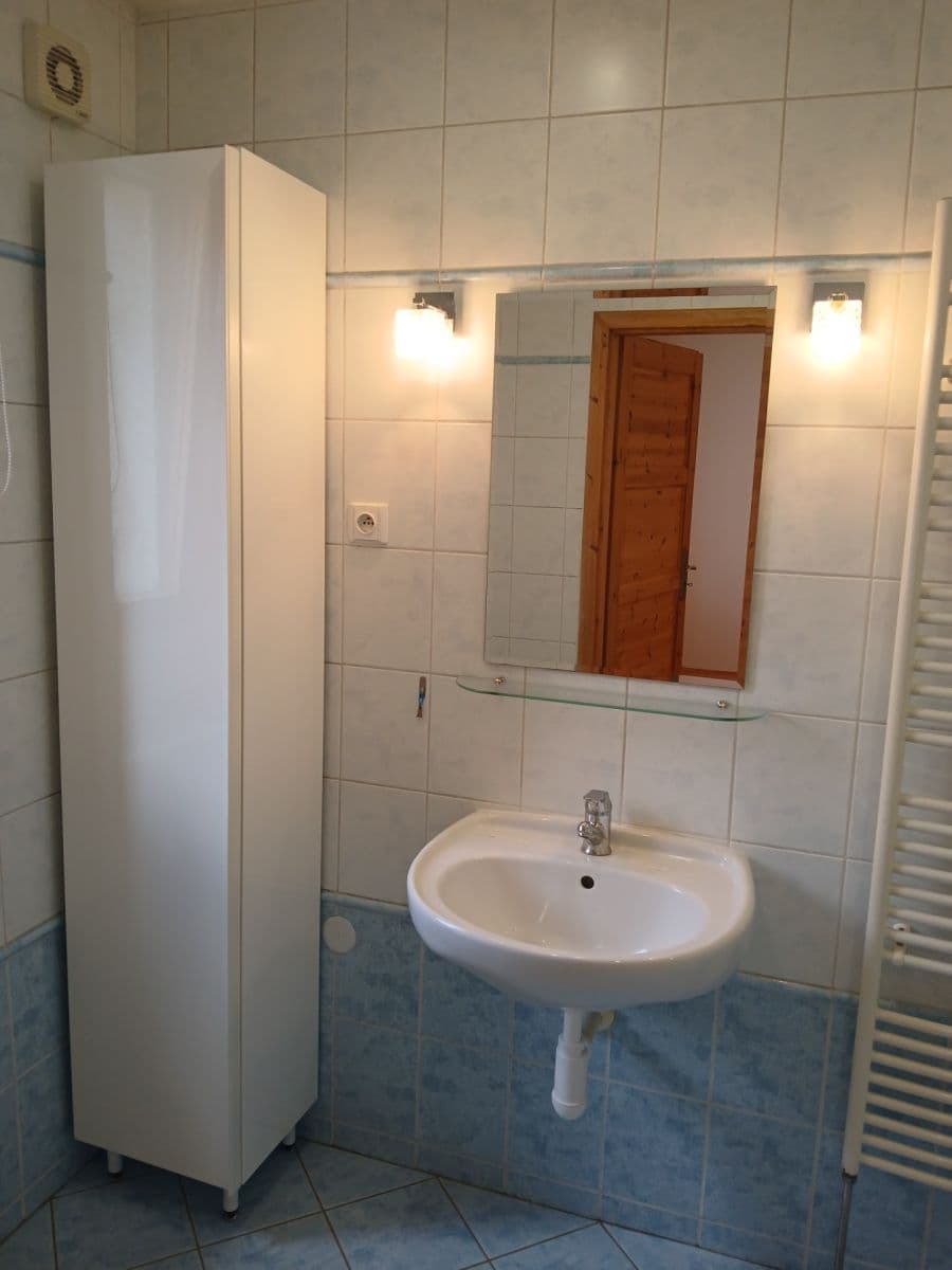 1 bedroom with open-plan kitchen flat to rent, 50 m², Gruzínská, Plzeň, Plzeňský Region 1 bedroom with open-plan kitchen flat to rent, 50 m², Gruzínská, Plzeň, Plzeňský Region