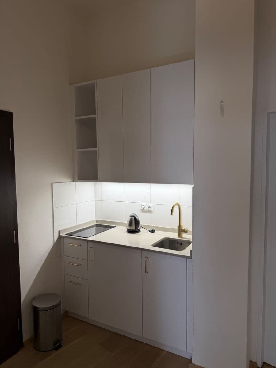 1 bedroom with open-plan kitchen flat to rent, 35 m², Šafaříkova, Prague, Prague 1 bedroom with open-plan kitchen flat to rent, 35 m², Šafaříkova, Prague, Prague