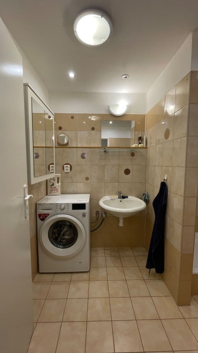1 bedroom with open-plan kitchen flat for sale, 58 m², Řešovská, Prague, Prague 1 bedroom with open-plan kitchen flat for sale, 58 m², Řešovská, Prague, Prague