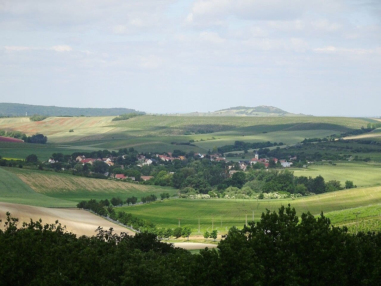 plot for sale, 447 m², Valtice, Jihomoravský Region plot for sale, 447 m², Valtice, Jihomoravský Region