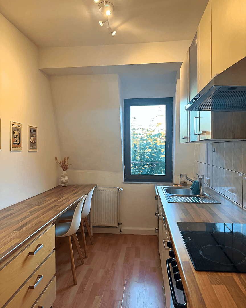 flat to rent, 18 m², Paumgartnerstraße 26, Nürnberg-Gostenhof, Bavaria flat to rent, 18 m², Paumgartnerstraße 26, Nürnberg-Gostenhof, Bavaria