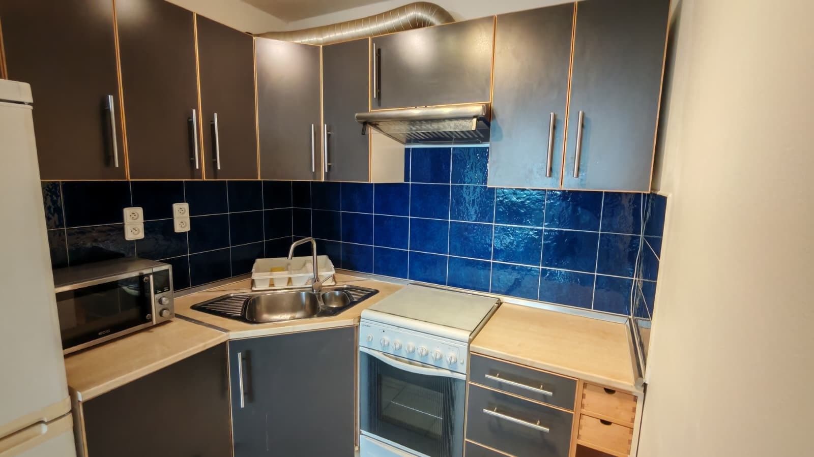 1 bedroom with open-plan kitchen flat to rent, 50 m², Plickova, Prague, Prague 1 bedroom with open-plan kitchen flat to rent, 50 m², Plickova, Prague, Prague