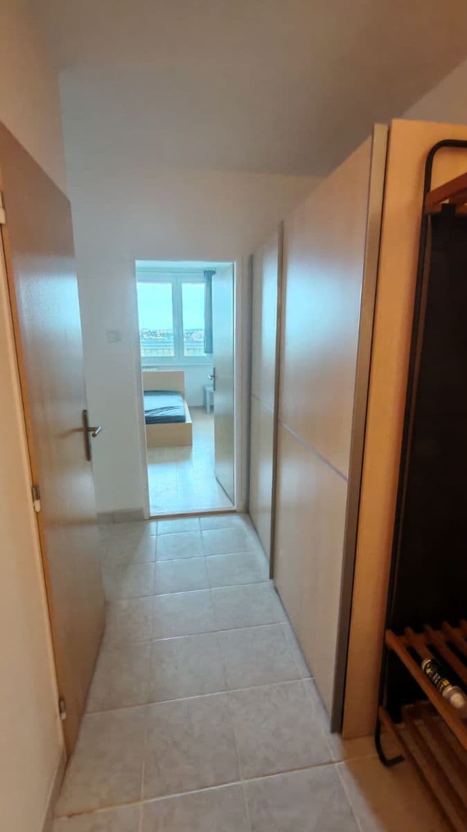 1 bedroom with open-plan kitchen flat to rent, 50 m², Plickova, Prague, Prague 1 bedroom with open-plan kitchen flat to rent, 50 m², Plickova, Prague, Prague