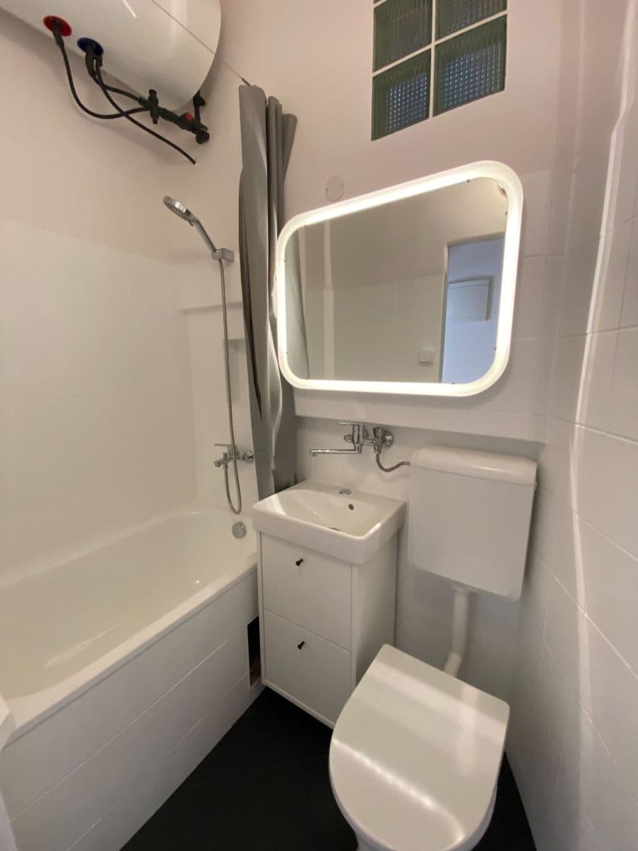 1 bedroom with open-plan kitchen flat to rent, 42 m², Ježkova, Prague, Prague 1 bedroom with open-plan kitchen flat to rent, 42 m², Ježkova, Prague, Prague