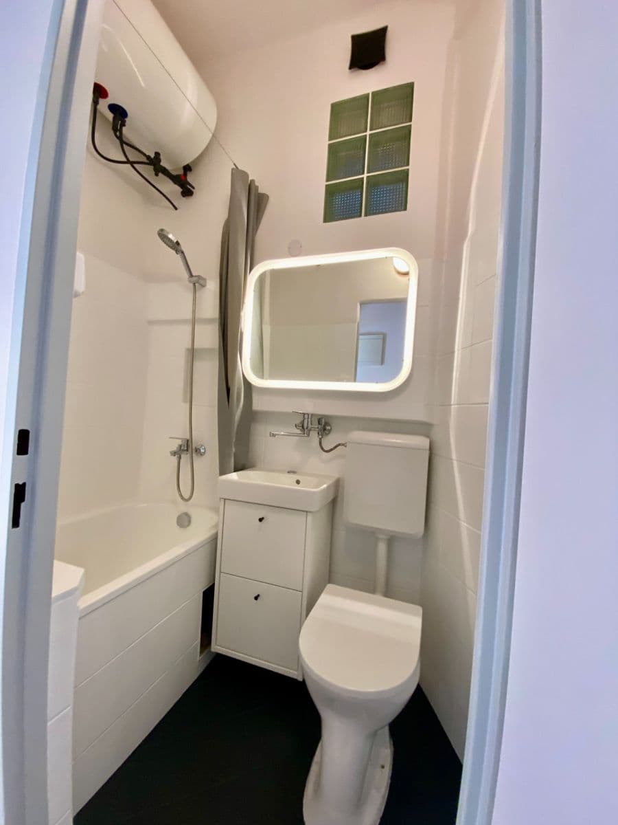 1 bedroom with open-plan kitchen flat to rent, 42 m², Ježkova, Prague, Prague 1 bedroom with open-plan kitchen flat to rent, 42 m², Ježkova, Prague, Prague