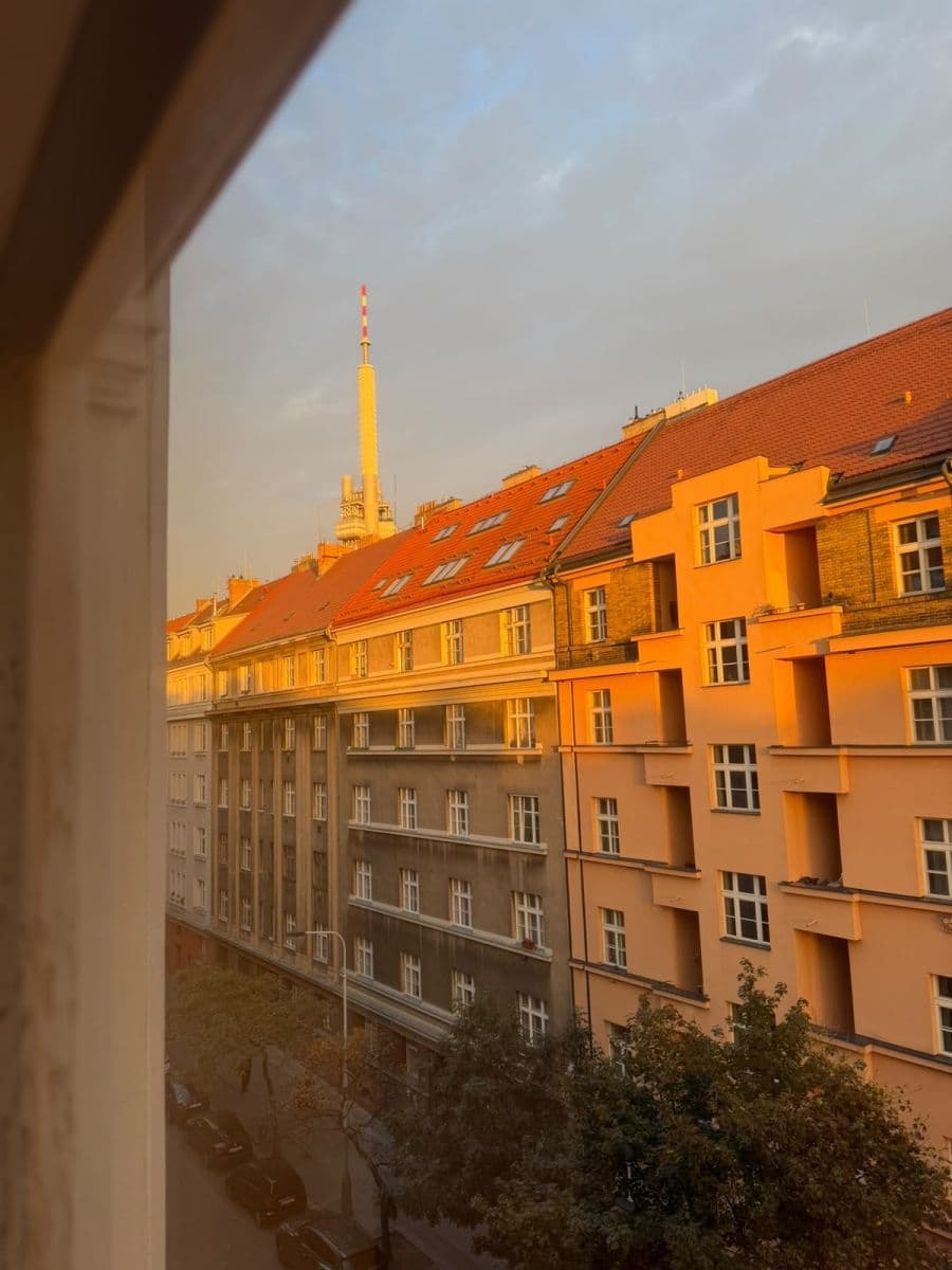 1 bedroom with open-plan kitchen flat to rent, 42 m², Ježkova, Prague, Prague 1 bedroom with open-plan kitchen flat to rent, 42 m², Ježkova, Prague, Prague