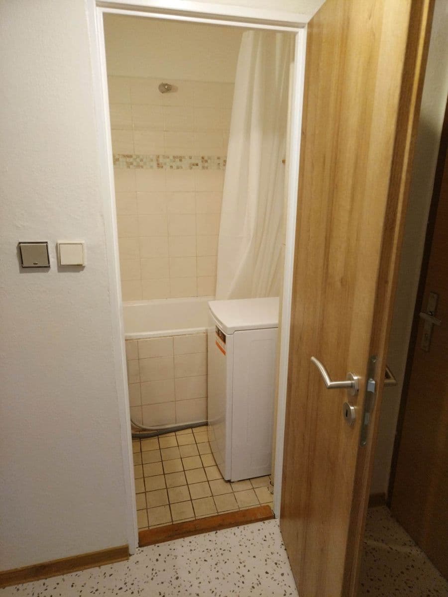 1 bedroom with open-plan kitchen flat to rent, 45 m², Gutova, Prague, Prague 1 bedroom with open-plan kitchen flat to rent, 45 m², Gutova, Prague, Prague
