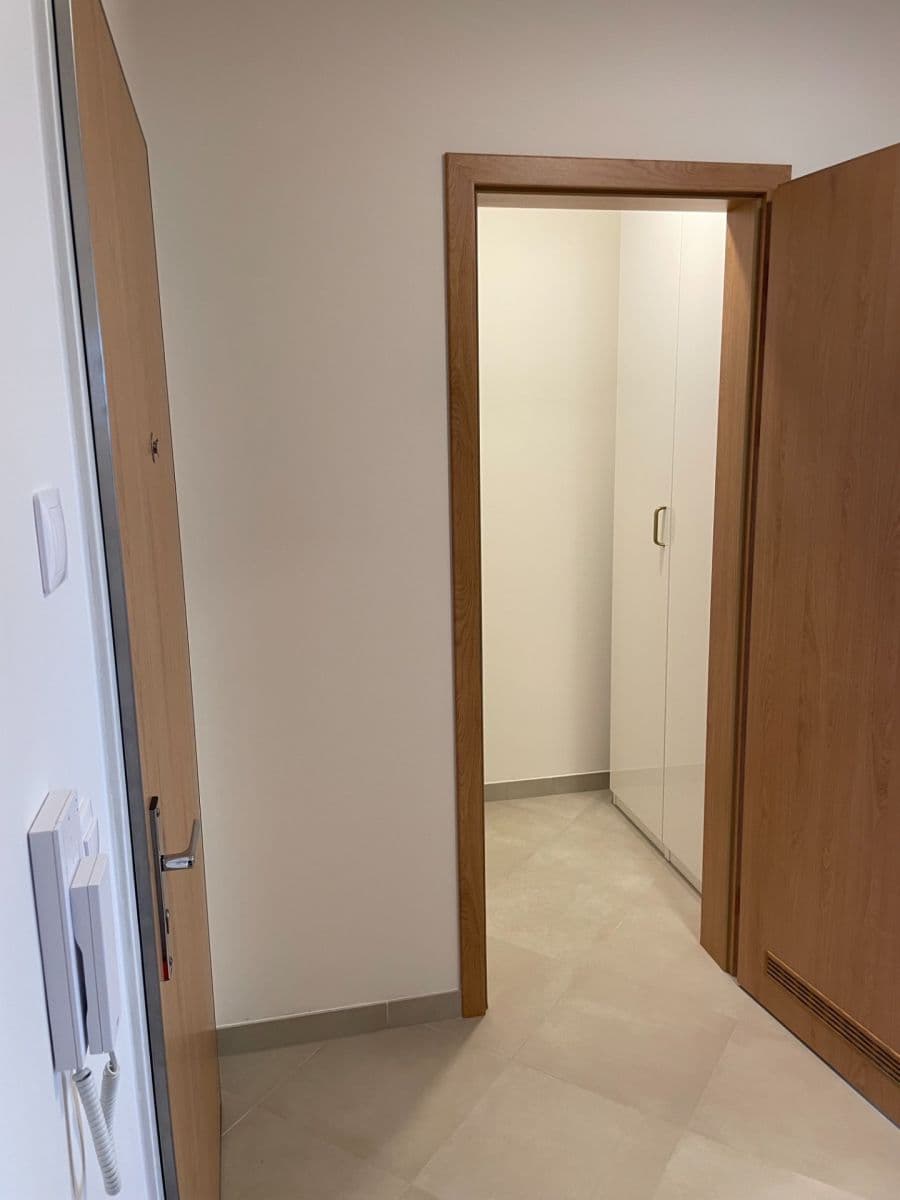 1 bedroom with open-plan kitchen flat to rent, 51 m², Šternovská, Prague, Prague 1 bedroom with open-plan kitchen flat to rent, 51 m², Šternovská, Prague, Prague
