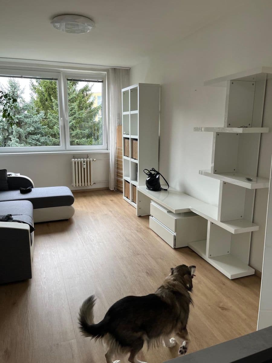 1 bedroom with open-plan kitchen flat to rent, 45 m², Chotovická, Prague, Prague 1 bedroom with open-plan kitchen flat to rent, 45 m², Chotovická, Prague, Prague