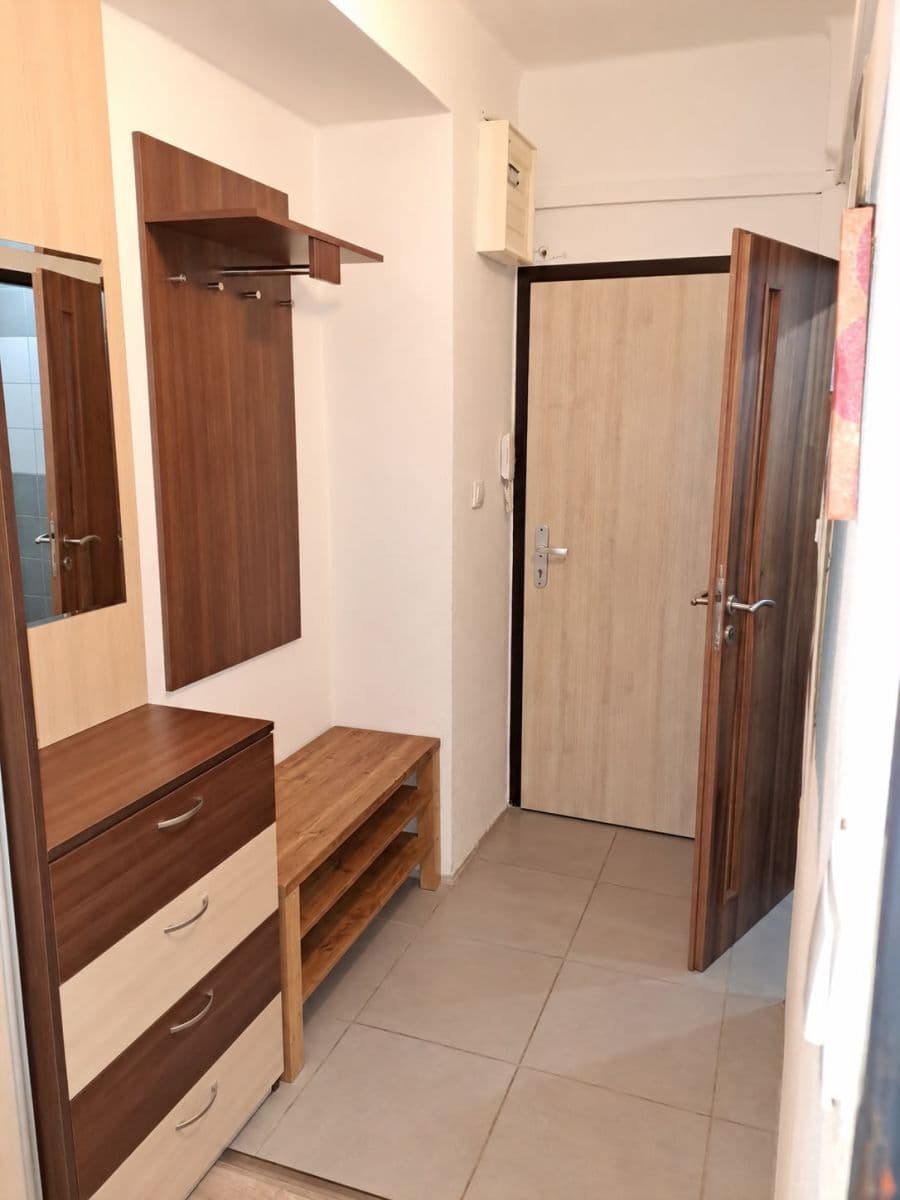 1 bedroom with open-plan kitchen flat to rent, 51 m², Na Balkáně, Prague, Prague 1 bedroom with open-plan kitchen flat to rent, 51 m², Na Balkáně, Prague, Prague
