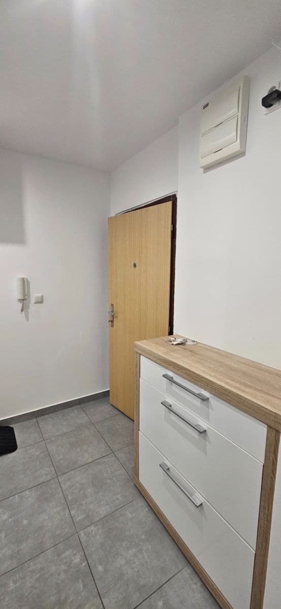 Studio flat to rent, 46 m², Dědinova, Prague, Prague Studio flat to rent, 46 m², Dědinova, Prague, Prague