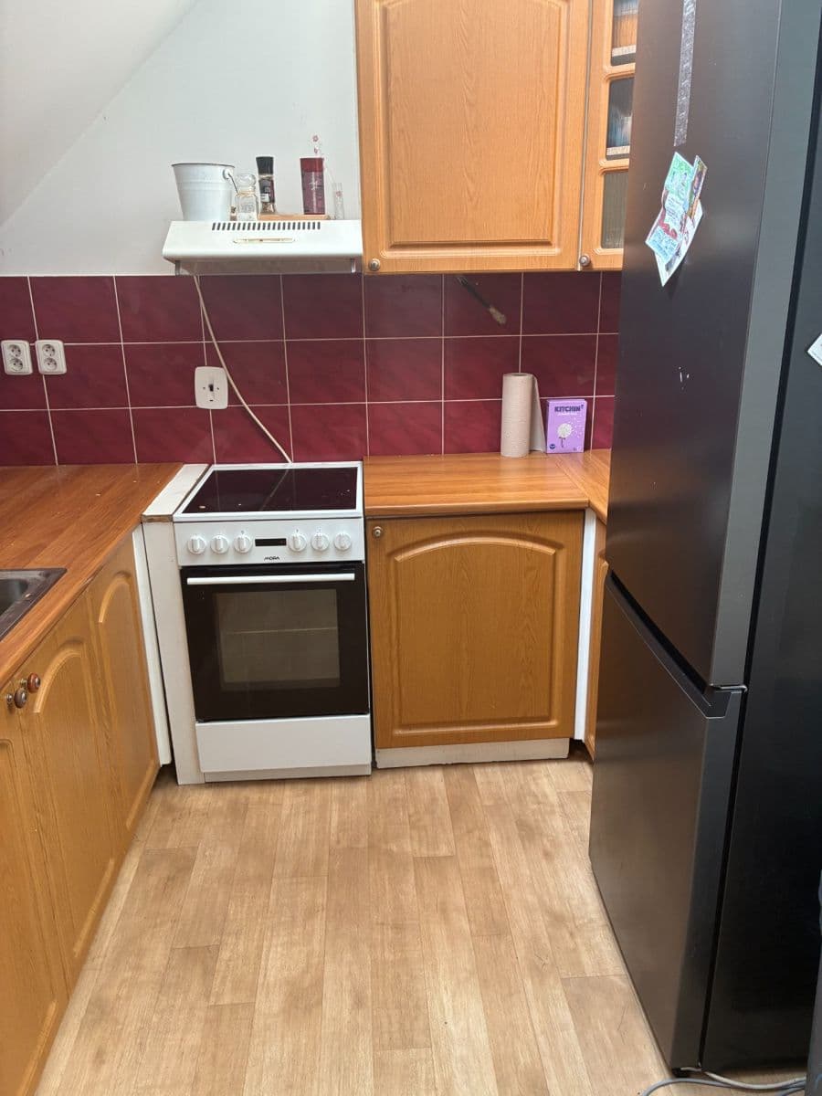 3 bedroom with open-plan kitchen flat to rent, 120 m², Pod Brentovou, Prague, Prague 3 bedroom with open-plan kitchen flat to rent, 120 m², Pod Brentovou, Prague, Prague
