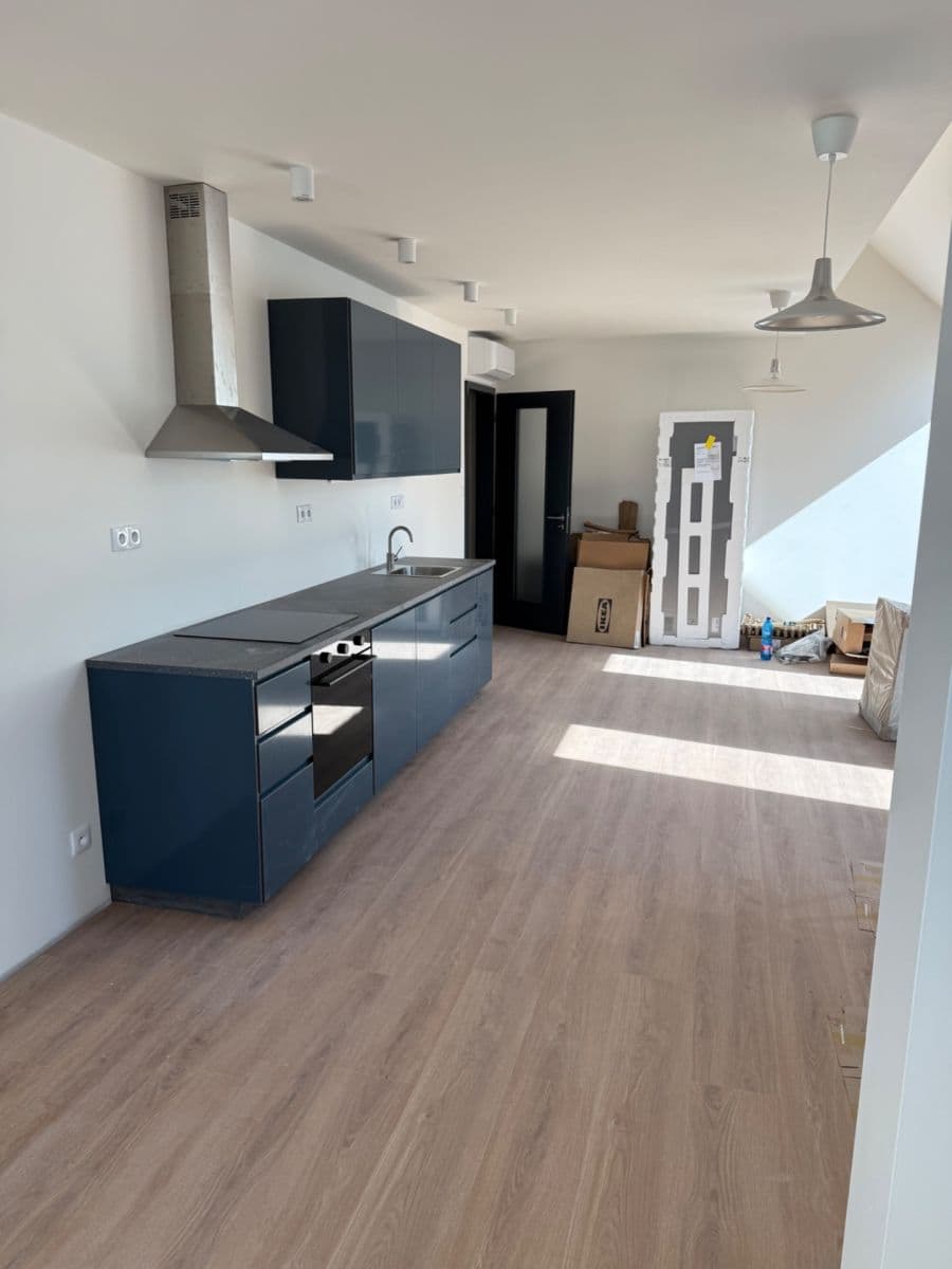 1 bedroom with open-plan kitchen flat to rent, 100 m², Chodská, Prague, Prague 1 bedroom with open-plan kitchen flat to rent, 100 m², Chodská, Prague, Prague
