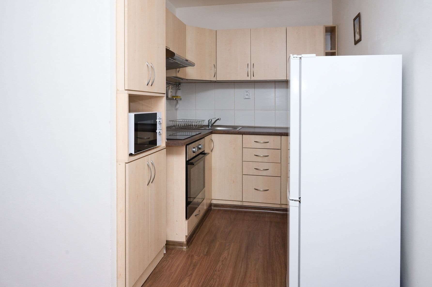 1 bedroom with open-plan kitchen flat to rent, 43 m², Boloňská, Prague, Prague 1 bedroom with open-plan kitchen flat to rent, 43 m², Boloňská, Prague, Prague
