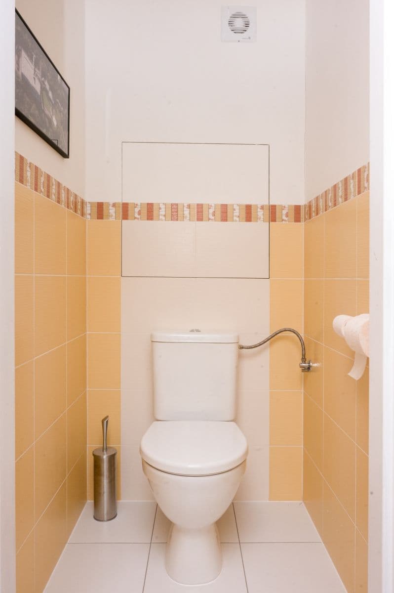 1 bedroom with open-plan kitchen flat to rent, 43 m², Boloňská, Prague, Prague 1 bedroom with open-plan kitchen flat to rent, 43 m², Boloňská, Prague, Prague