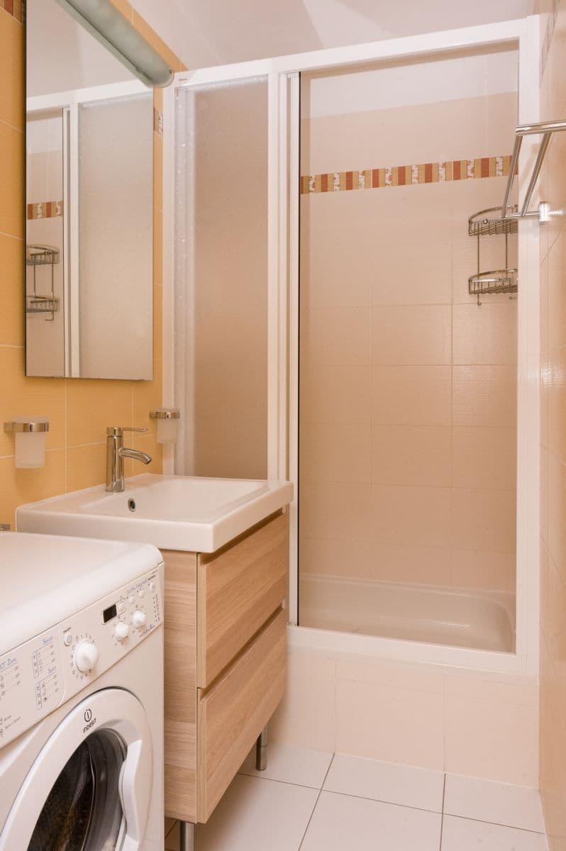 1 bedroom with open-plan kitchen flat to rent, 43 m², Boloňská, Prague, Prague 1 bedroom with open-plan kitchen flat to rent, 43 m², Boloňská, Prague, Prague
