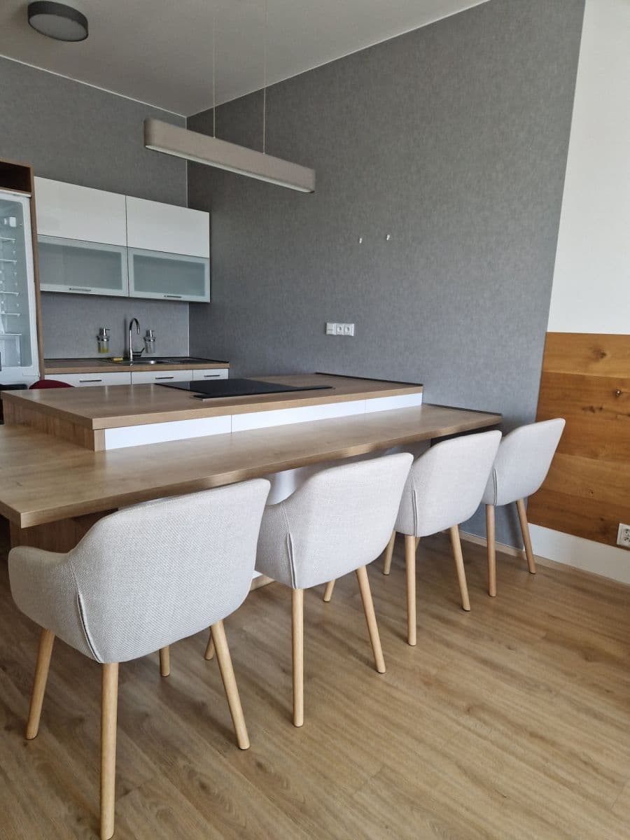 1 bedroom with open-plan kitchen flat for sale, 67 m², Švýcarské nábřeží, Olomouc, Olomoucký Region 1 bedroom with open-plan kitchen flat for sale, 67 m², Švýcarské nábřeží, Olomouc, Olomoucký Region
