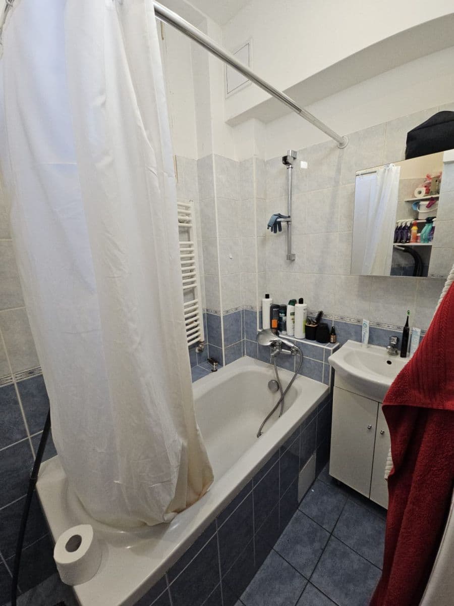 1 bedroom with open-plan kitchen flat to rent, 54 m², Moskevská, Prague, Prague 1 bedroom with open-plan kitchen flat to rent, 54 m², Moskevská, Prague, Prague
