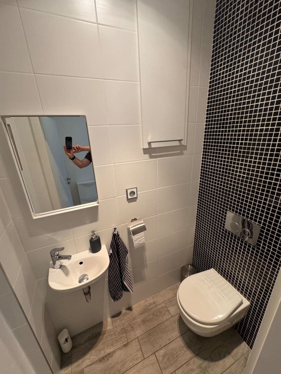 1 bedroom with open-plan kitchen flat to rent, 52 m², Vršovická, Prague, Prague 1 bedroom with open-plan kitchen flat to rent, 52 m², Vršovická, Prague, Prague