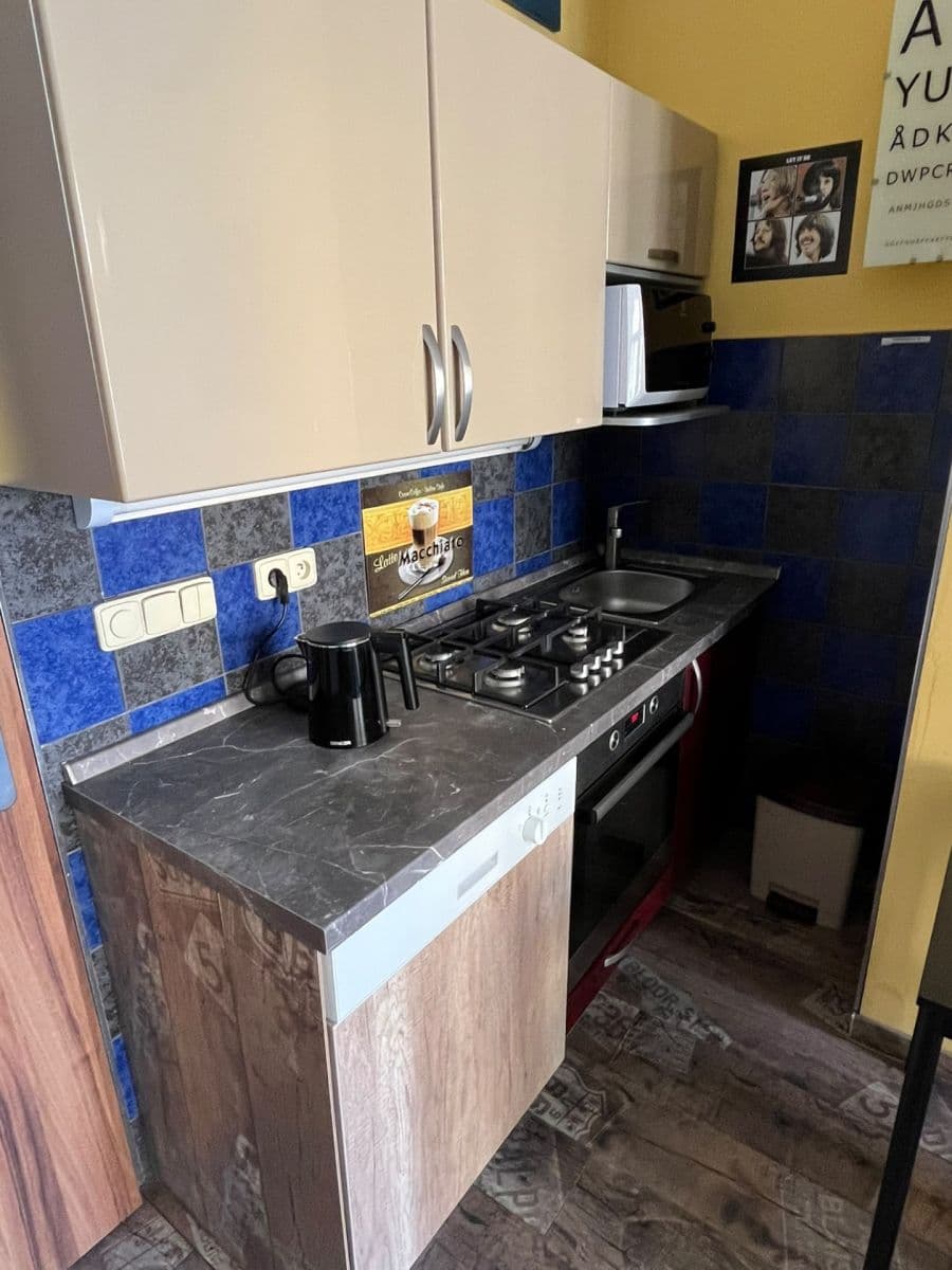 1 bedroom with open-plan kitchen flat to rent, 50 m², Slezská, Prague, Prague 1 bedroom with open-plan kitchen flat to rent, 50 m², Slezská, Prague, Prague
