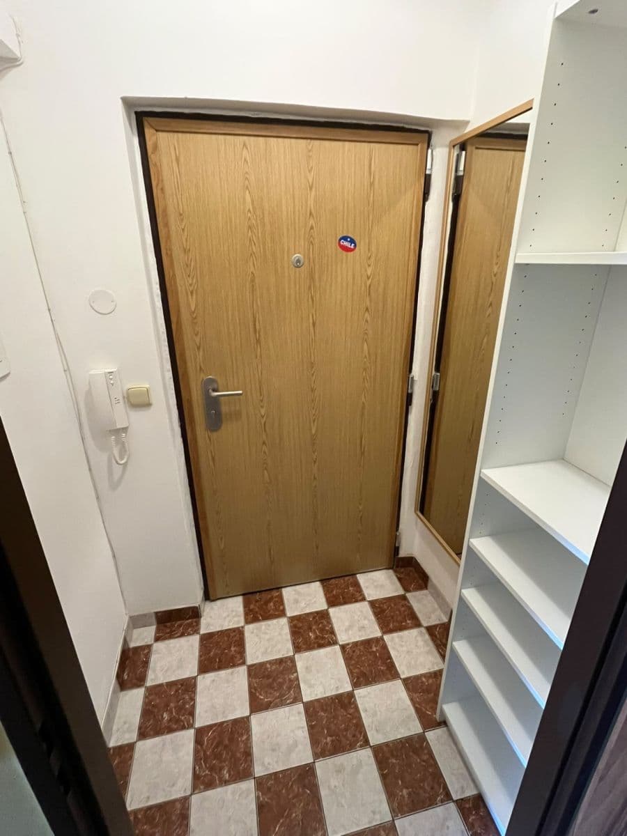 1 bedroom with open-plan kitchen flat to rent, 50 m², Slezská, Prague, Prague 1 bedroom with open-plan kitchen flat to rent, 50 m², Slezská, Prague, Prague
